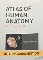 کتاب دست دوم Atlas of  Human Anatomy 7th Edition by Frank H. Netter-رنگی