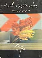کتاب دست دوم پاییز در بزرگ راه (شعرهای سبز و سیاه) تالیف محمد علی سپانلو  
