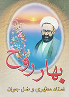 کتاب دست دوم بهار روح استاد مطهری و نسل جوان-نویسنده محمد صالح اندیمشکی 