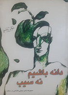 کتاب دست دوم دانه باشیم نه سیب مجتبی کاشانی 