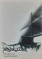 کتاب دست دوم سیاه زخم رابین کوک ترجمه شهناز کمیلی زاده - در حد نو 