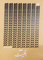 کتاب دست دوم اقلیت فاضل نظری - در حد نو 