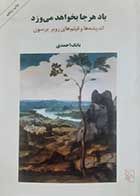 کتاب دست دوم باد هرجا بخواهد می وزد(اندیشه ها و فیلم های روبر برسون) بابک احمدی - در حد نو 