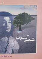 کتاب دست دوم شهر آشوب مریم جعفری 
