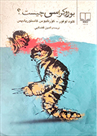 کتاب دست دوم بوروکراسی چیست؟ کلود لوفور ترجمه امین قضایی - در حد نو 