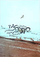 کتاب دست دوم پرندگان می روند در پرو می میرند رومن گاری ترجمه مارال دیداری - در حد نو 