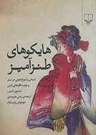 کتاب دست دوم هایکوهای طنزآمیز استیون ادیس ترجمه رضی هیرمندی - در حد نو 