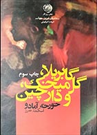 کتاب دست دوم گابریلا و گل میخک و دارچین خورخه آمادو ترجمه اسکندر تمرز - در حد نو 